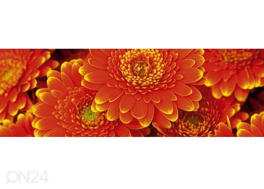 Köögi tagasein Gerbera 180x60 cm suurendatud