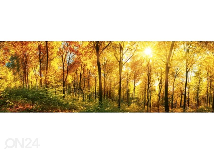 Köögi tagasein Sunny forest 180x60 cm suurendatud