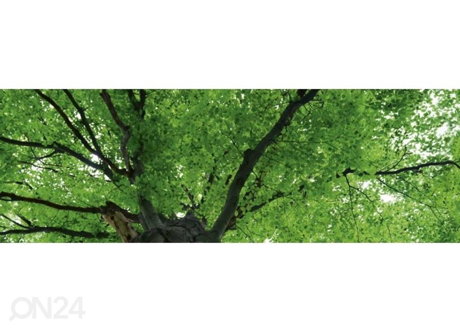 Köögi tagasein Treetop 180x60 cm suurendatud