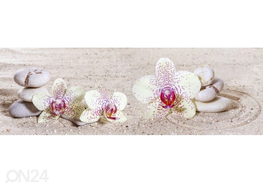 Köögi tagasein Zen garden 260x60 cm suurendatud