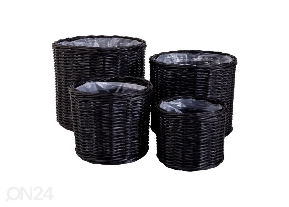 Korvid / lillepotid Nam Định 4 tk suurendatud