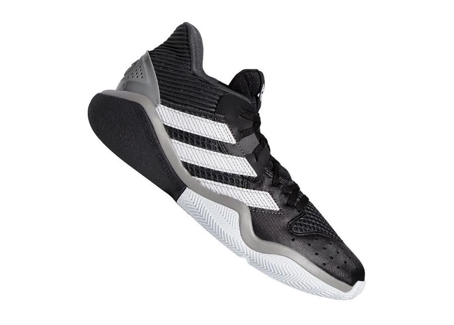 Korvpallijalatsid meestele adidas Harden Stepback M EF9893 suurendatud