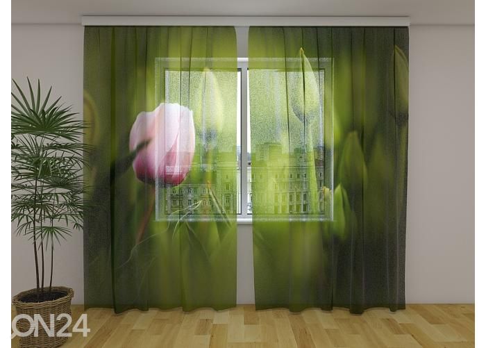 Läbipaistev fotokardin First Pink Tulip 240x220 cm suurendatud