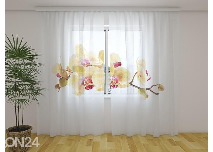 Läbipaistev fotokardin Golden Orchid on White 240x220 cm suurendatud