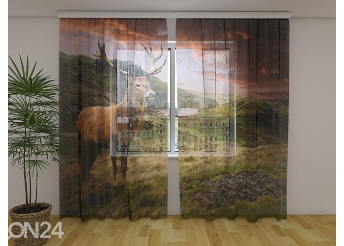 Läbipaistev fotokardin Red Deer at Sunset 240x220 cm suurendatud