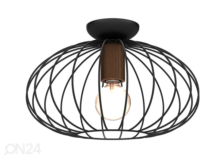 Laelamp suurendatud