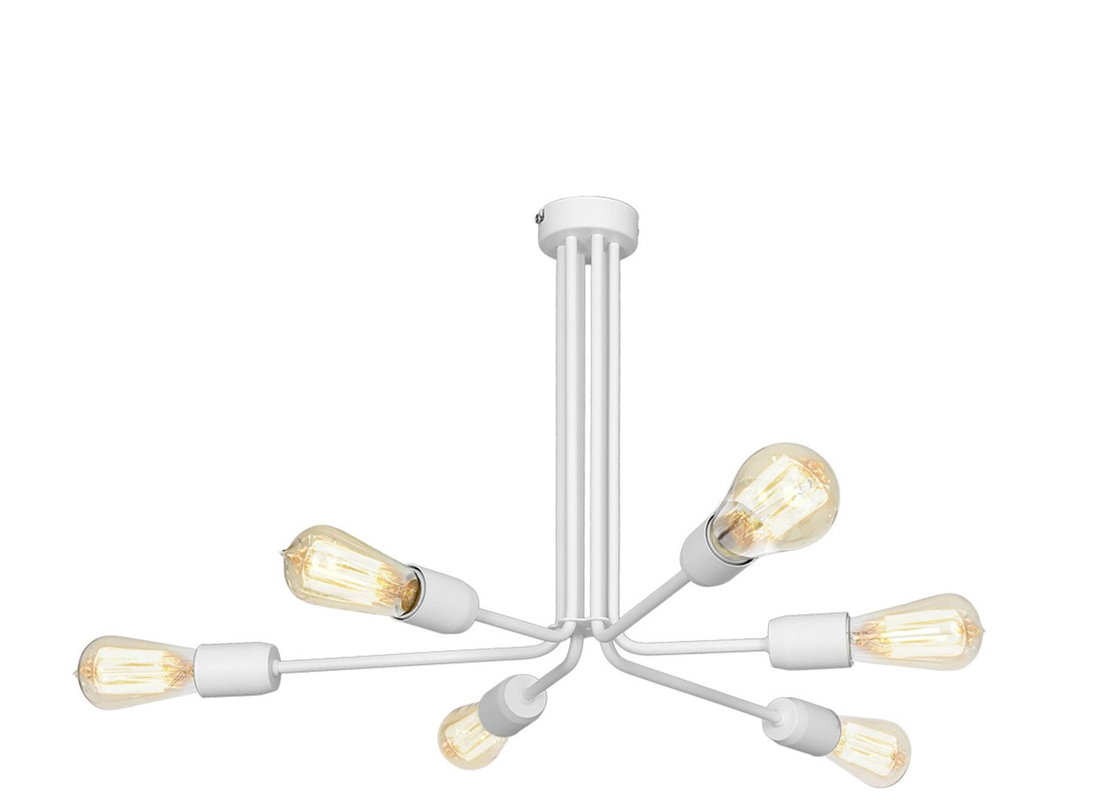 Laelamp Ezop suurendatud