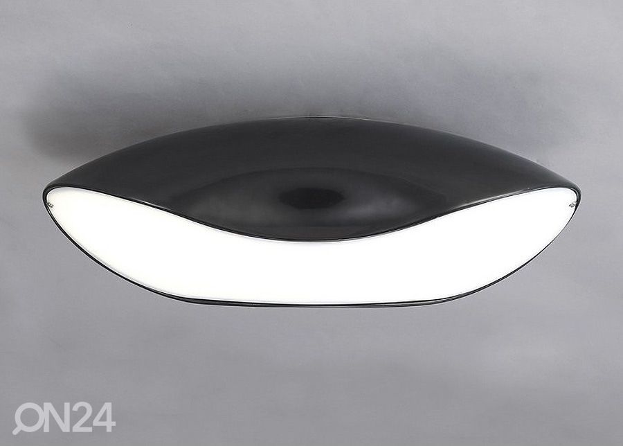 Laelamp Pasion Negro suurendatud