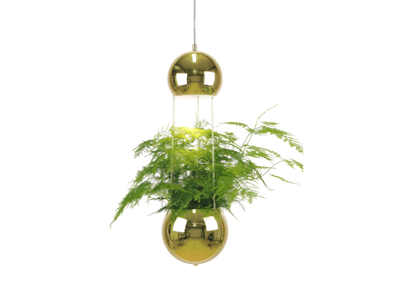 Laelamp Planter suurendatud