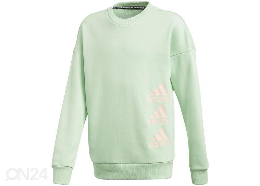 Laste dressipluus Adidas Jg Mh Crew Jr GE0965 suurendatud