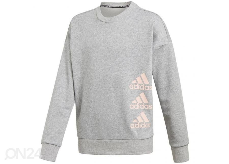 Laste dressipluus Adidas Jg Mh Crew Junior GK3237 suurendatud