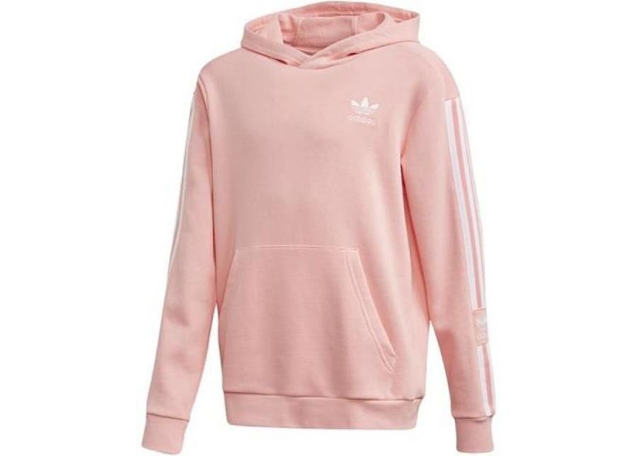 Laste dressipluus adidas Lock Up Hoodie JR FM5688 suurendatud