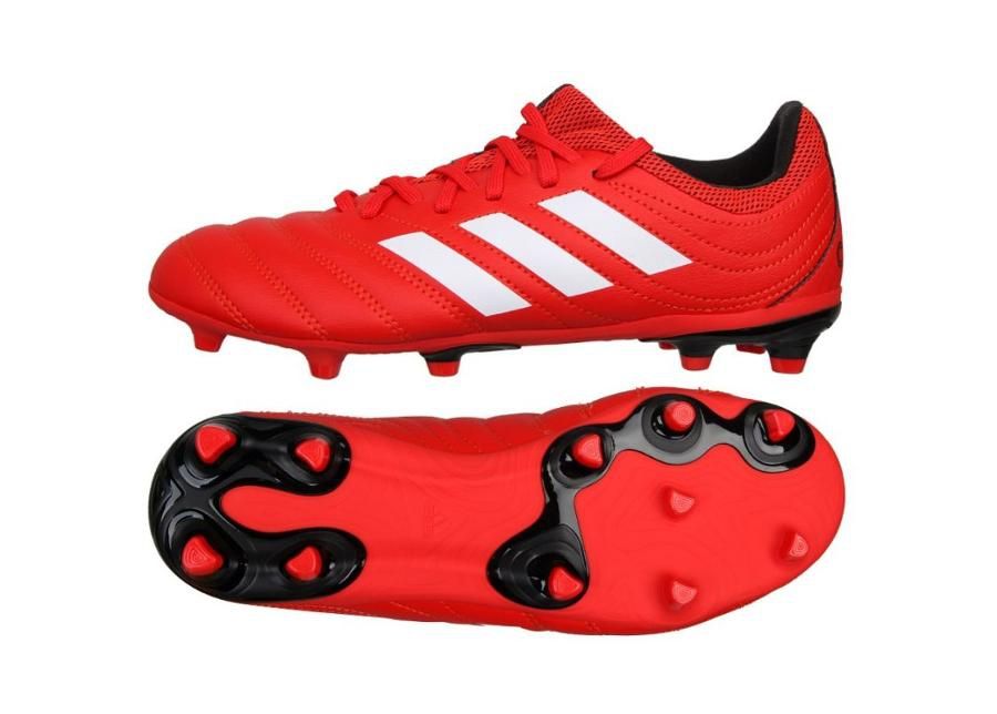 Laste jalgpallijalatsid muru adidas Copa 20.3 FG Jr EF1914 suurendatud