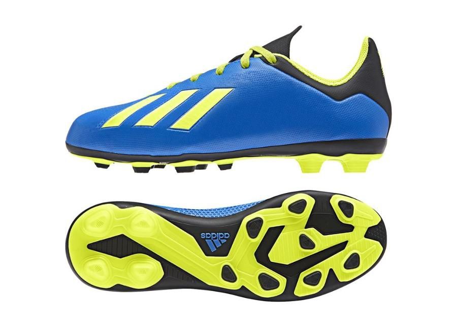 Laste jalgpallijalatsid muru adidas X 18.4 FxG Jr DB2419 suurendatud