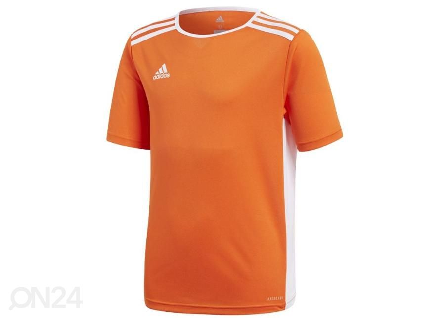 Laste jalgpallisärk Adidas Entrada 18 JSY Y Jr CF1043 suurendatud