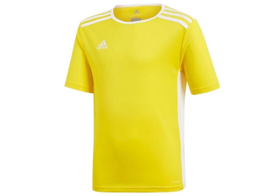 Laste jalgpallisärk Adidas Entrada 18 Jsyy Jr CF1039 suurendatud
