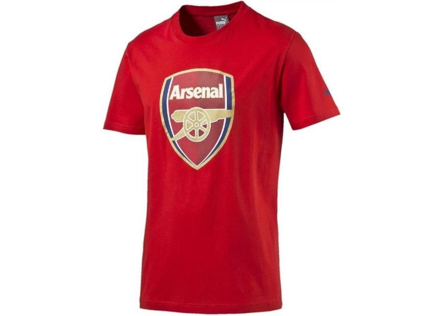 Laste jalgpallisärk Puma Arsenal Football Club Fan Tee Junior 74929701 suurendatud