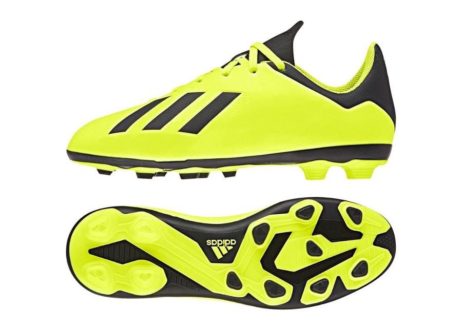 Laste muru jalgpallijalatsid adidas X 18.4 FxG Jr DB2420 suurendatud