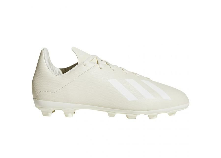 Laste muru jalgpallijalatsid adidas X 18.4 FxG Jr DB2421 suurendatud