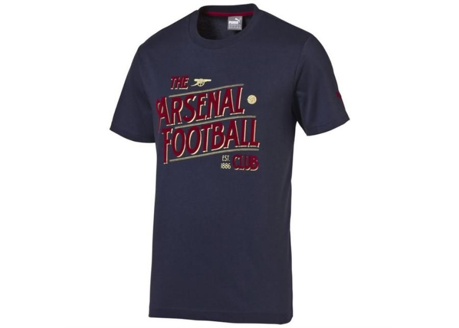 Laste vabaaja särk Puma Arsenal Football Club Graphic Fan Tee Junior 74748802 suurendatud