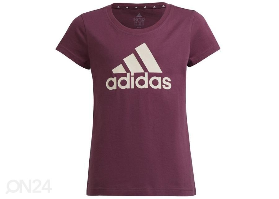 Laste vabaajasärk Adidas Essentials Tee Jr GS0258 suurendatud