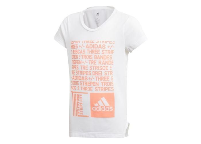 Laste vabaajasärk Adidas YG TR Graph Tee Jr suurendatud