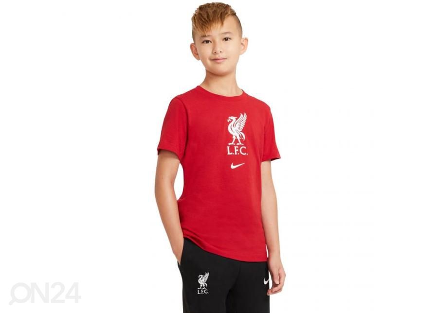 Laste vabaajasärk Nike Lfc B Nk Tee Evergreen Crest suurendatud