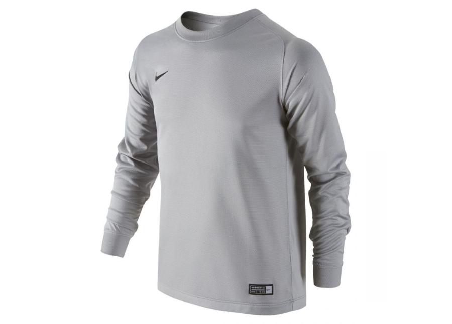 Laste väravavahi särk Nike Park Goalie II Jersey Jr 588441-001 suurendatud