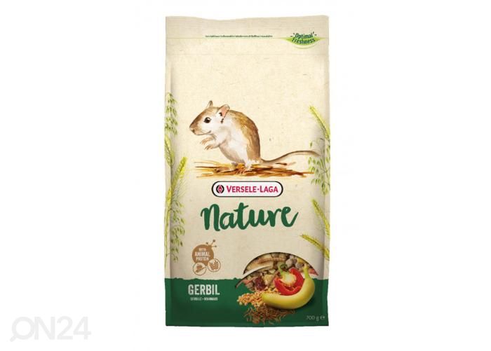 Liivahiire täissööt nature 700g suurendatud