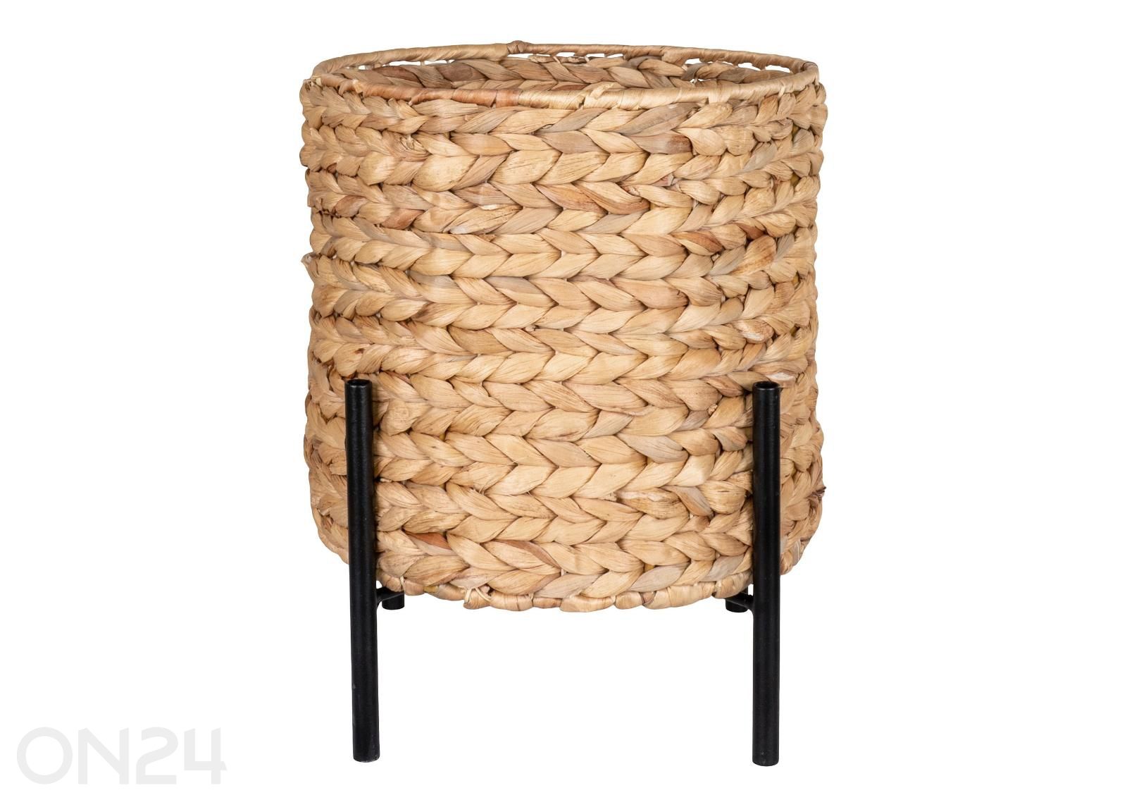 Lillepott Antas suurendatud