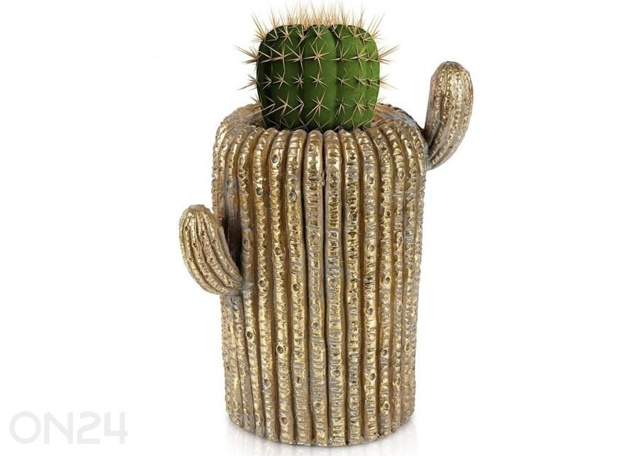 Lillepott kaktus suurendatud