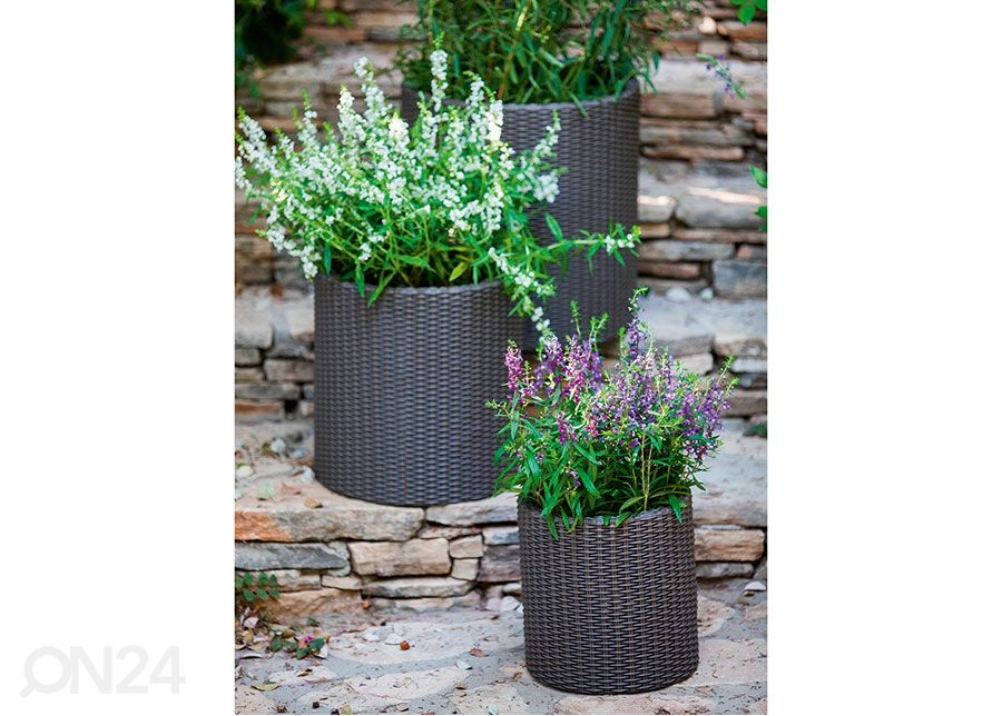 Lillepott Keter Cylinder M suurendatud