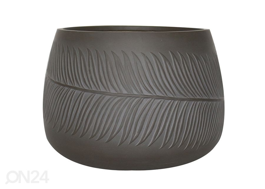 Lillepott Palm Ø 24 cm suurendatud