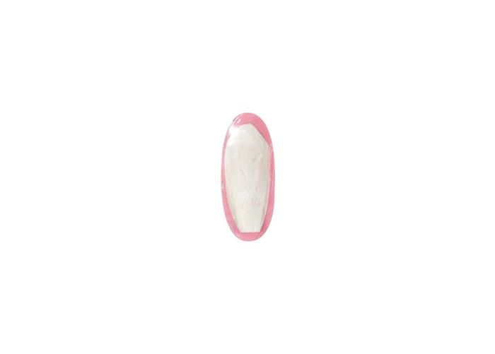 Lindude seepialuu maasikas 12 cm suurendatud