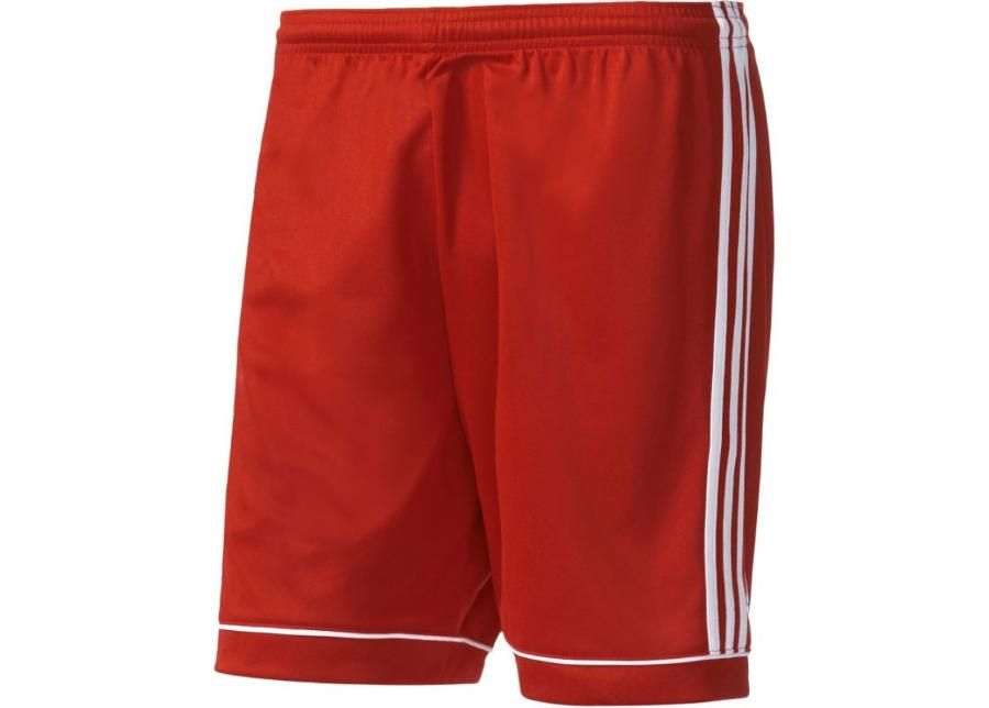 Lühikesed jalgpallipüksid meestele adidas Squadra 17 M BJ9226 suurendatud