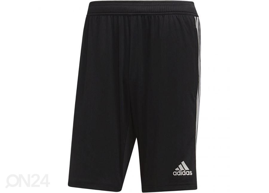 Lühikesed püksid meestele Adidas Tiro 19 Training Short M suurendatud