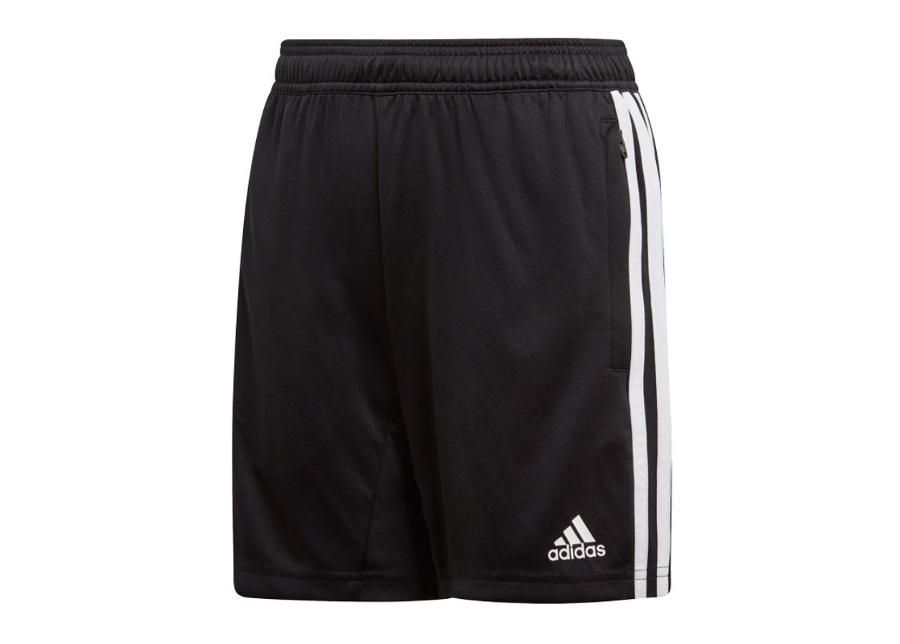 Lühikesed treeningpüksid lastele adidas Tiro 19 Training Short JR D95946 suurendatud