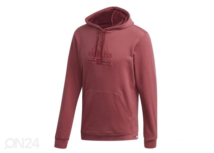 Meeste dressipluus Adidas Brilliant Basics Hooded M GD3832 suurendatud