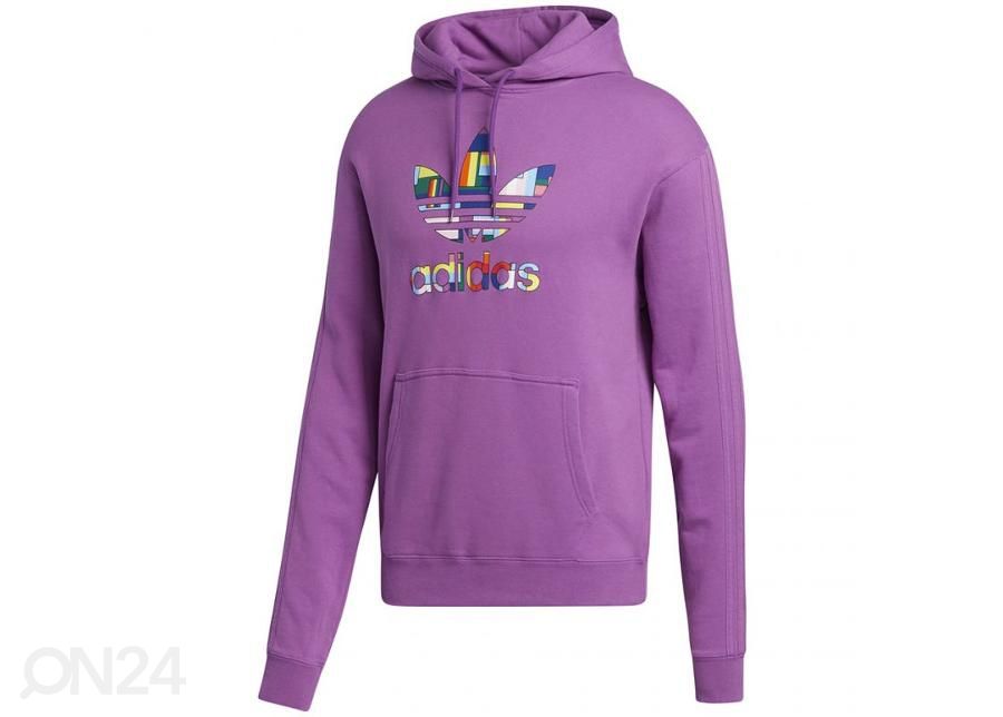 Meeste dressipluus Adidas Pride Flag Fill Hoody M GK8524 suurendatud