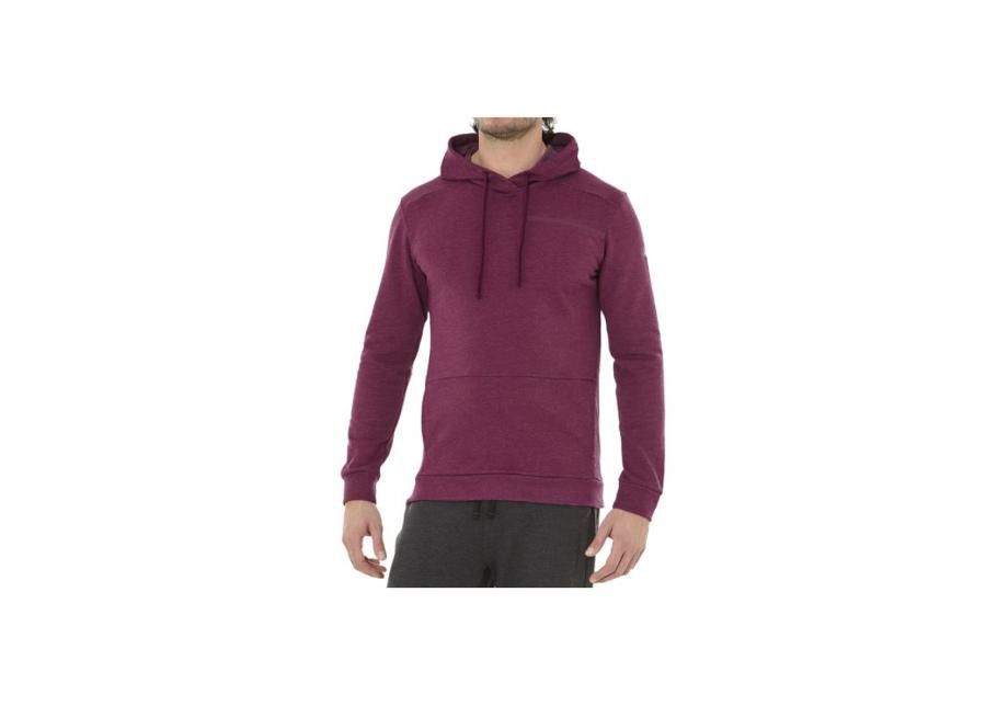Meeste dressipluus Asics Tailored Oth Brushed Hoody M 2031A354-600 suurendatud