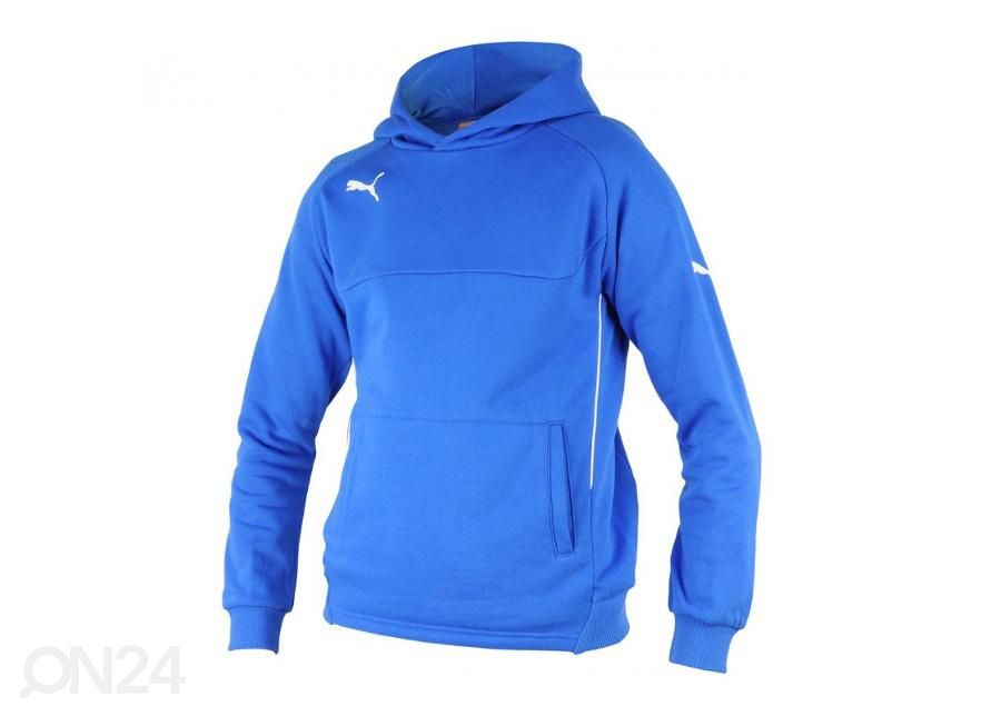 Meeste dressipluus Puma Hoody L M 65397902 suurendatud