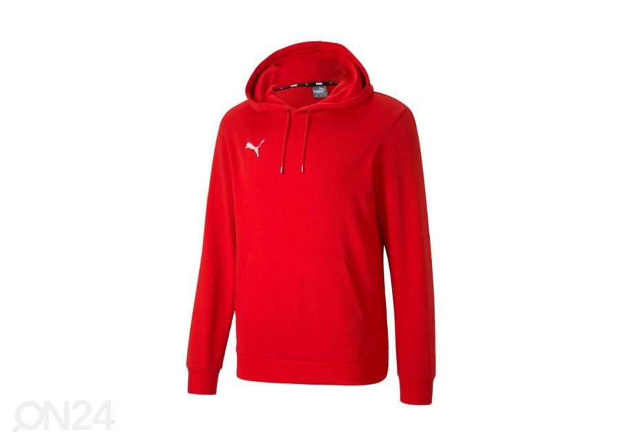 Meeste dressipluus Puma TeamGoal 23 Casuals suurendatud