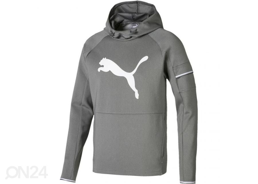 Meeste dressipluus Puma Tec Sports Cat Hoody M 854168 03 suurendatud