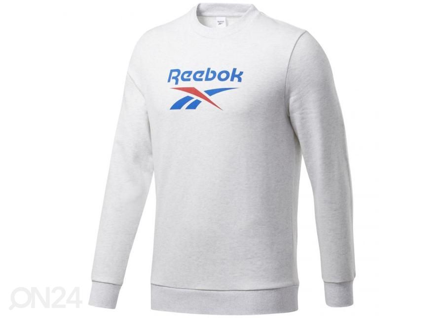 Meeste dressipluus Reebok Classic Vector Crew M FT7317 suurendatud