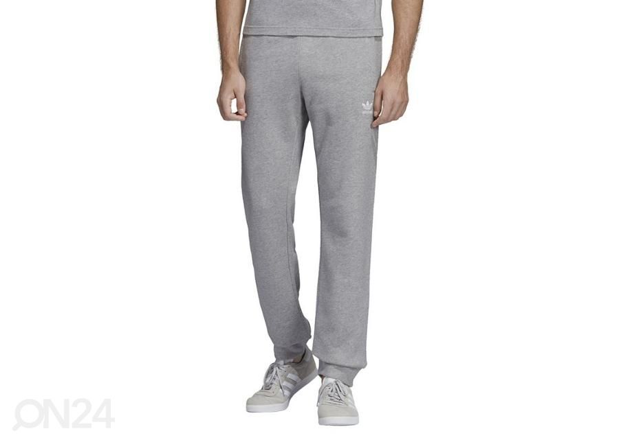 Meeste dressipüksid Adidas Originals Treofil Pants M DV1540 suurendatud