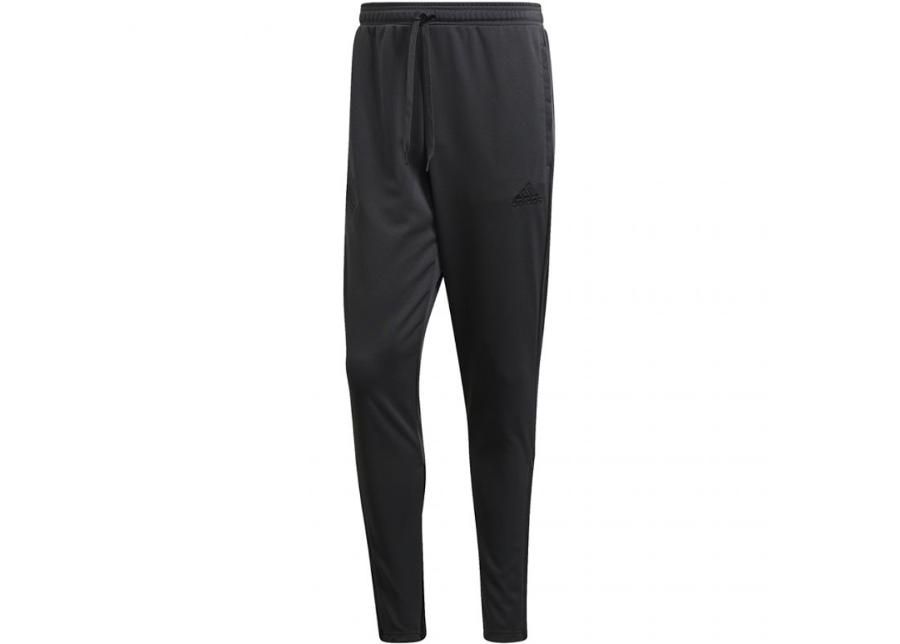 Meeste dressipüksid adidas Tan Training Pants M FJ6329 suurendatud