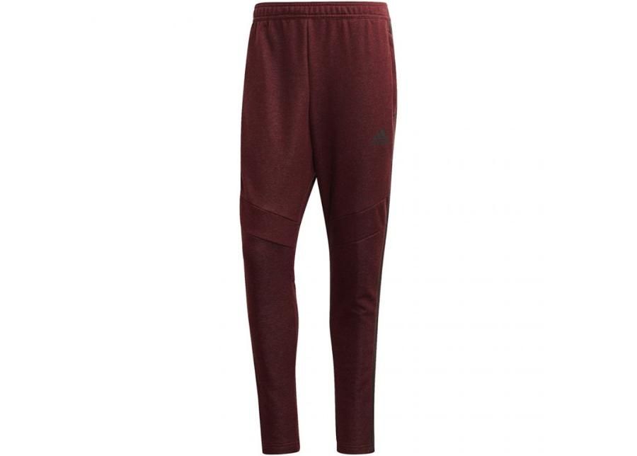 Meeste dressipüksid adidas Tiro 19 French Terry Pant M FP8043 suurendatud