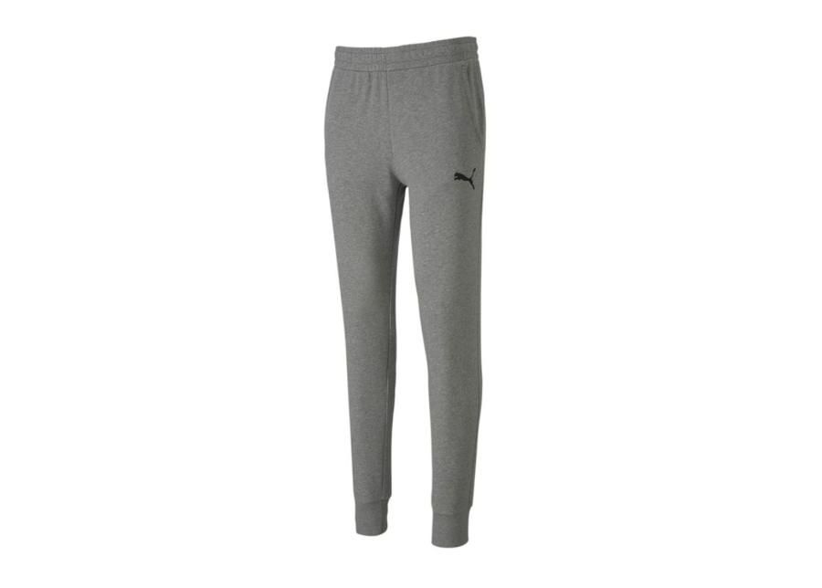 Meeste dressipüksid Puma teamGoal 23 Casual Pants M 656582-33 suurendatud