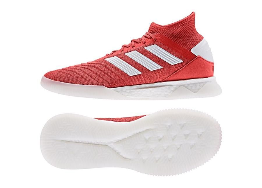Meeste jalgpallijalatsid adidas saali Predator 19.1 TR M F35623 suurendatud
