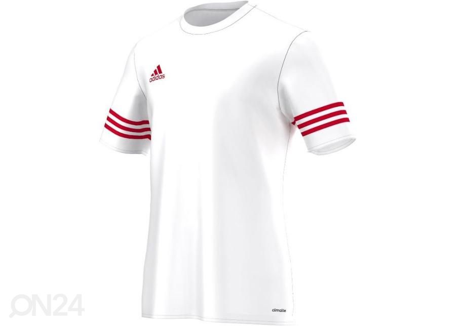 Meeste jalgpallisärk adidas Entrada 14 F50490 suurendatud